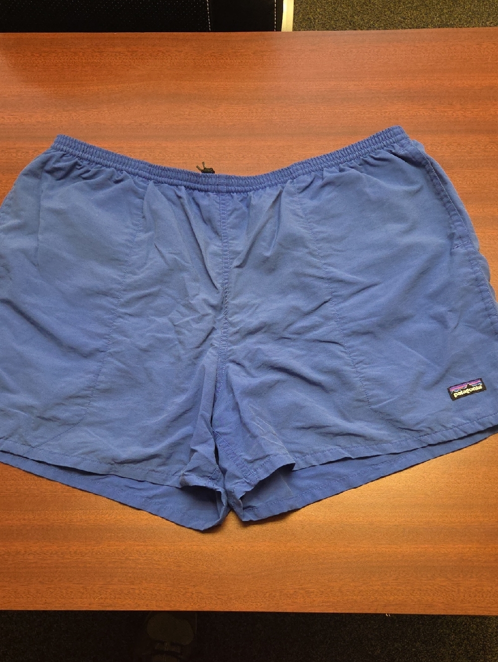 Patagonia Blue Men's Athletic Swim Shorts